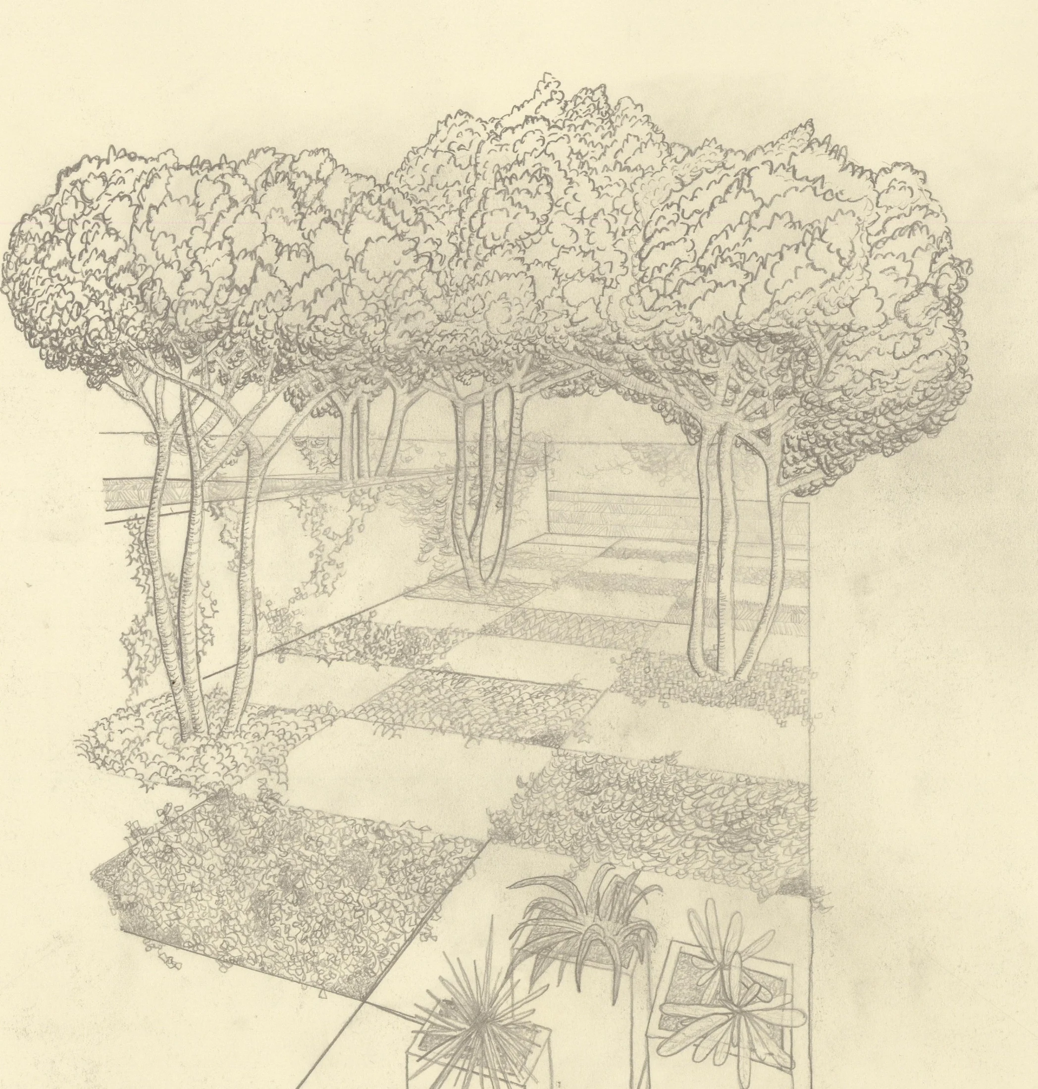 Vegetation